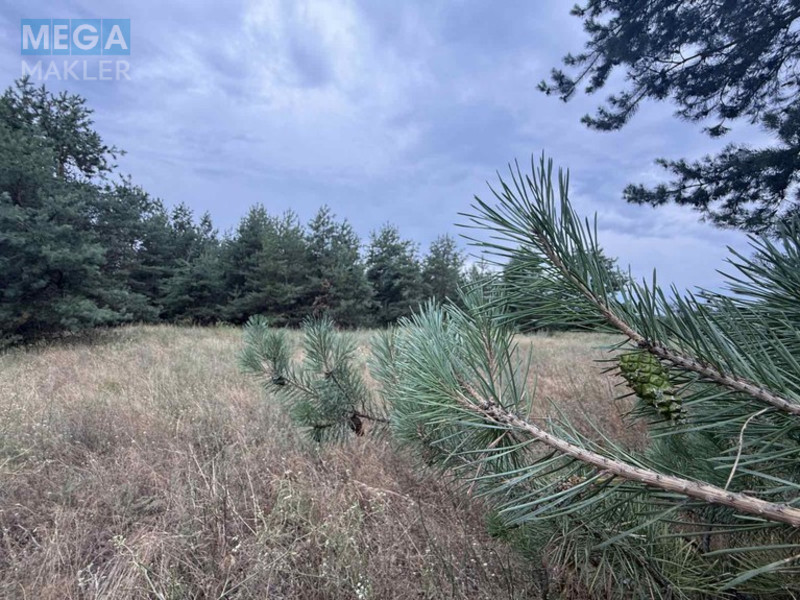 Продажа участка, 2 012 соток, <a class="location-link" href="/carichanka/" title="Недвижимость Царичанка">Царичанка</a> (изображение 5)
