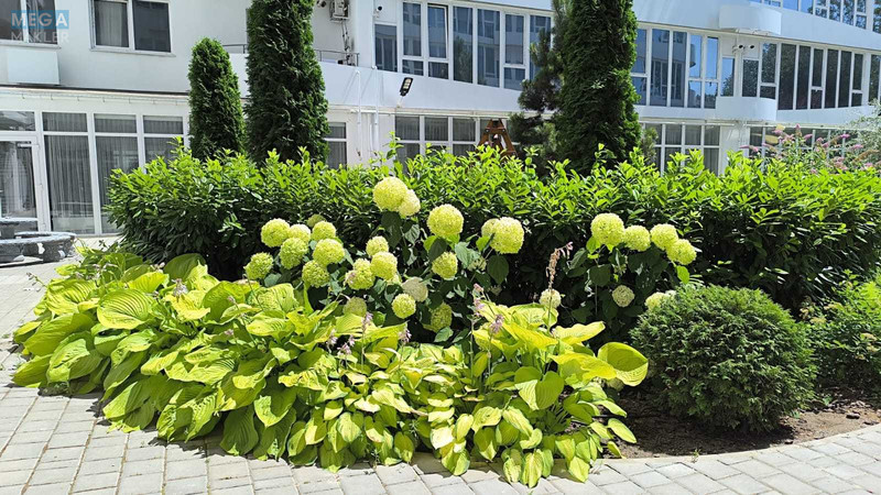 Оренда 1 кімнатної квартири, <a class="location-link" href="/odessa/" title="Недвижимость Одеса">Одеса</a>, <a class="location-link" href="/odessa/kievskij/" title="Недвижимость Київський район">Київський р-н</a>, Львовская, 15Б (изображение 6)
