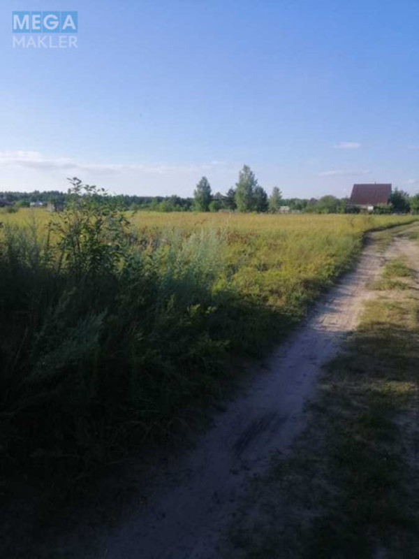 Продажа участка, 12 соток, участок под жилую застройку, <a class="location-link" href="/rovzhy/" title="Недвижимость Ровжі">Ровжі</a>, Хорів (изображение 5)