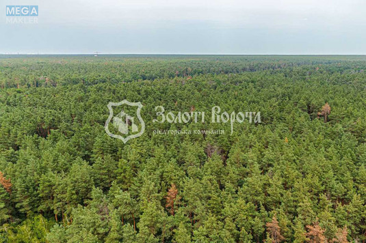 Продаж 1 кімнатної квартири (41/16/11), 20 пов. 25 пов. будинку, <a class="location-link" href="/kiev/" title="Недвижимость Київ">Київ</a>, <a class="location-link" href="/kiev/darnickij/" title="Недвижимость Дарницький район">Дарницький р-н</a>, Світла вул., 3д (изображение 17)