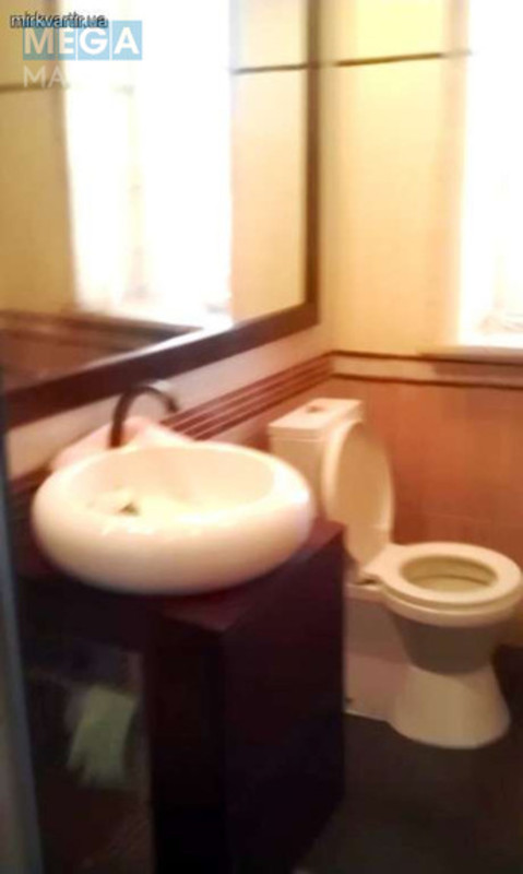 Оренда дома, <a class="location-link" href="/gnedin/" title="Недвижимость Гнідін">Гнідин</a>, Озерная (изображение 11)
