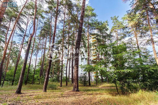 Продаж 2 кімнатної квартири (55,4/22/19,6), 8 пов. 14 пов. будинку, <a class="location-link" href="/kiev/" title="Недвижимость Київ">Київ</a>, <a class="location-link" href="/kiev/darnickij/" title="Недвижимость Дарницький район">Дарницький р-н</a>, Миколи Хвильового вул., 3 (изображение 19)