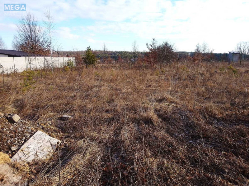 Продажа участка, 10&nbsp;соток, земля сельскохозяйственного назначения, <a class="location-link" href="/gorbovichi/" title="Недвижимость Горбовичі">Горбовичі</a>, пров. Живописний (изображение 11)