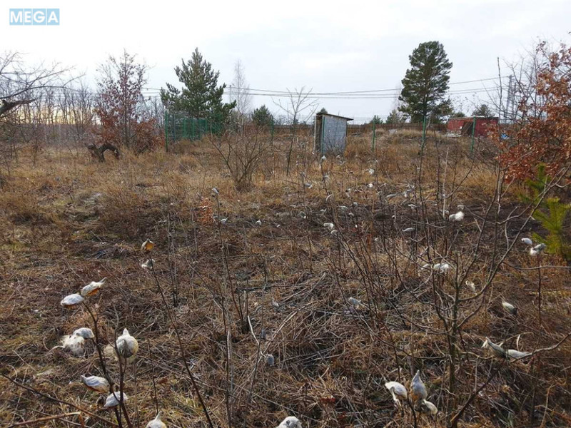 Продажа участка, 10&nbsp;соток, земля сельскохозяйственного назначения, <a class="location-link" href="/gorbovichi/" title="Недвижимость Горбовичі">Горбовичі</a>, пров. Живописний (изображение 18)