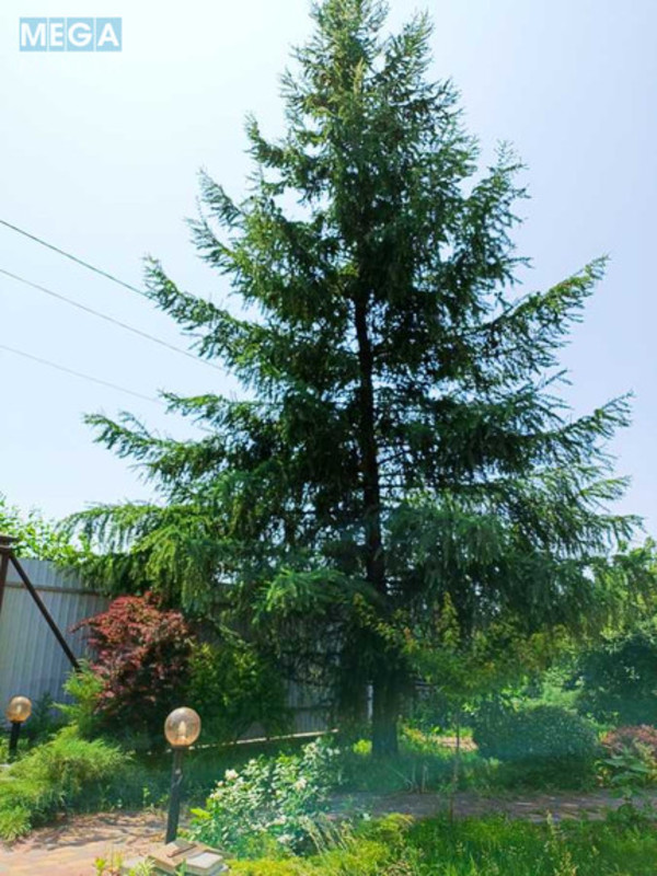 Продаж дома, 1&nbsp; поверх, 130&nbsp;кв.м, 4&nbsp;кімнати, ділянка 13&nbsp;соток, <a class="location-link" href="/petrovskoe-selo-kv-borispolskij-rajon/" title="Недвижимость Петропавлівське">Петропавловское</a>, Левадная (изображение 17)