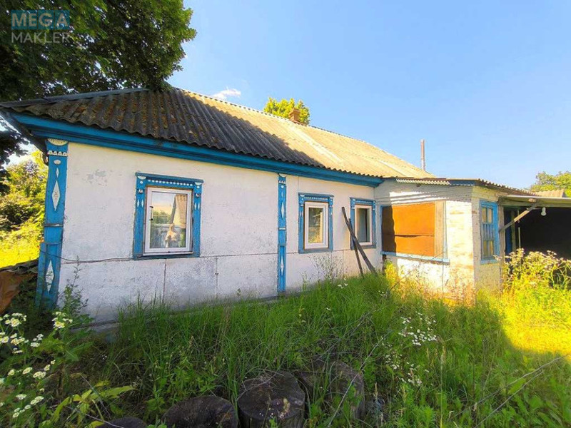 Продаж дома, 1&nbsp; поверх, 63&nbsp;кв.м, 3&nbsp;кімнати, ділянка 68&nbsp;соток, <a class="location-link" href="/korolovka-selo-kv/" title="Недвижимость Королівка">Королівка</a>, ленина (изображение 19)