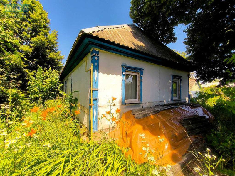 Продаж дома, 1&nbsp; поверх, 63&nbsp;кв.м, 3&nbsp;кімнати, ділянка 68&nbsp;соток, <a class="location-link" href="/korolovka-selo-kv/" title="Недвижимость Королівка">Королівка</a>, ленина (изображение 22)