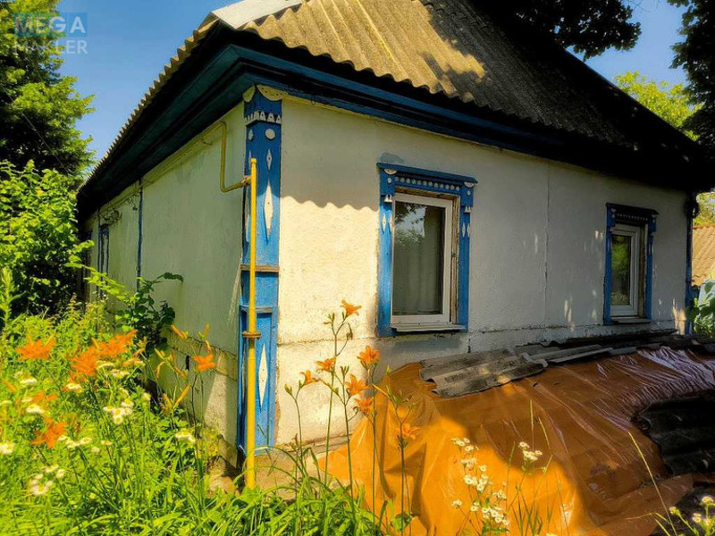 Продаж дома, 1&nbsp; поверх, 63&nbsp;кв.м, 3&nbsp;кімнати, ділянка 68&nbsp;соток, <a class="location-link" href="/korolovka-selo-kv/" title="Недвижимость Королівка">Королівка</a>, ленина (изображение 23)