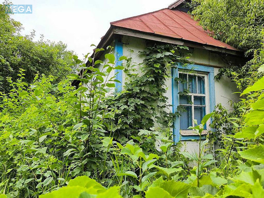 Продаж дома, 1&nbsp; поверх, 64,70&nbsp;кв.м, 3&nbsp;кімнати, ділянка 71&nbsp;сотка, <a class="location-link" href="/gruzskoe-selo-kv/" title="Недвижимость Грузьке">Грузьке</a>, ленина (изображение 24)