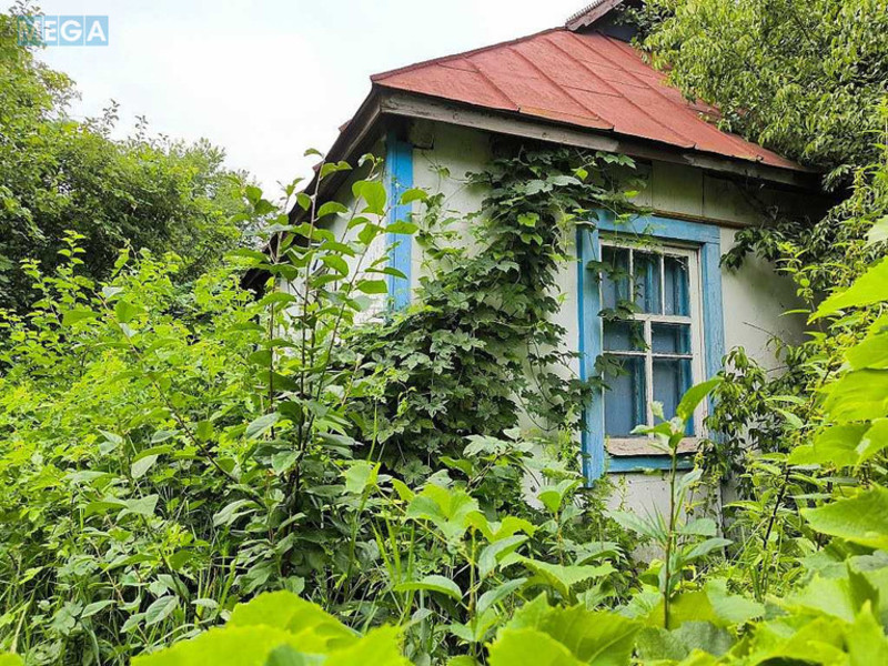Продаж дома, 1&nbsp; поверх, 64,70&nbsp;кв.м, 3&nbsp;кімнати, ділянка 71&nbsp;сотка, <a class="location-link" href="/gruzskoe-selo-kv/" title="Недвижимость Грузьке">Грузьке</a>, ленина (изображение 24)