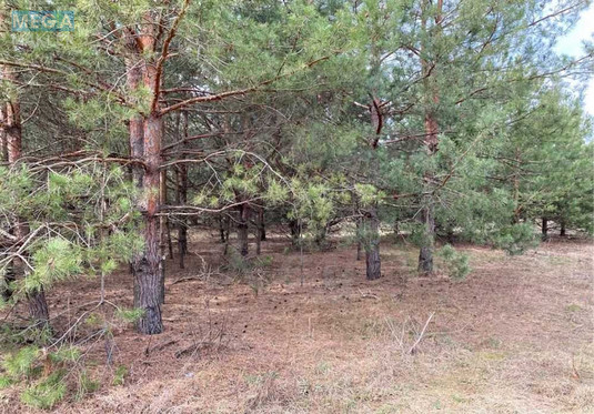 Продажа участка, 110&nbsp;соток, участок под жилую застройку, <a class="location-link" href="/severinovka-selo-kv-makarovskij-rajon/" title="Недвижимость Северинівка">Северинівка</a>, Степова (изображение 4)