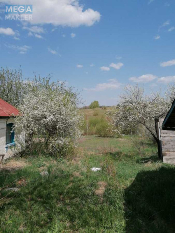 Продаж дома, 1&nbsp; поверх, 52&nbsp;кв.м, 2&nbsp;кімнати, ділянка 30&nbsp;соток, <a class="location-link" href="/chernin-selo/" title="Недвижимость Чернін">Чернин</a>, Попівка (изображение 4)