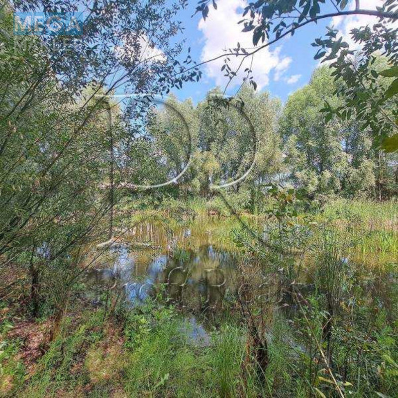 Продажа участка, 25 соток, участок под жилую застройку, <a class="location-link" href="/kolonshina/" title="Недвижимость Колонщина">Колонщина</a>, Молодіжна вулиця 1 (изображение 2)