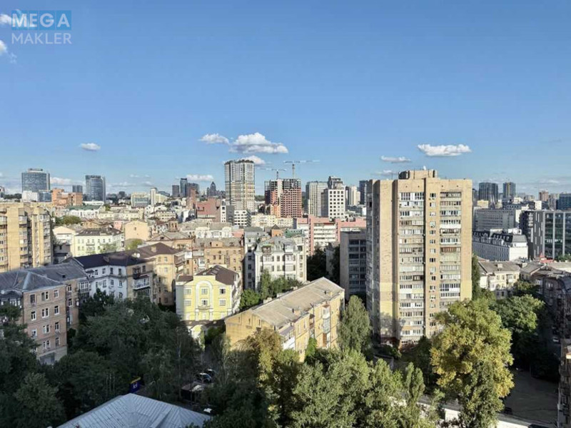 Оренда 1 кімнатної квартири, <a class="location-link" href="/kiev/" title="Недвижимость Київ">Київ</a>, <a class="location-link" href="/kiev/shevchenkovskij/" title="Недвижимость Шевченківський район">Шевченківський р-н</a>, Жилянская ул., 68 (изображение 20)