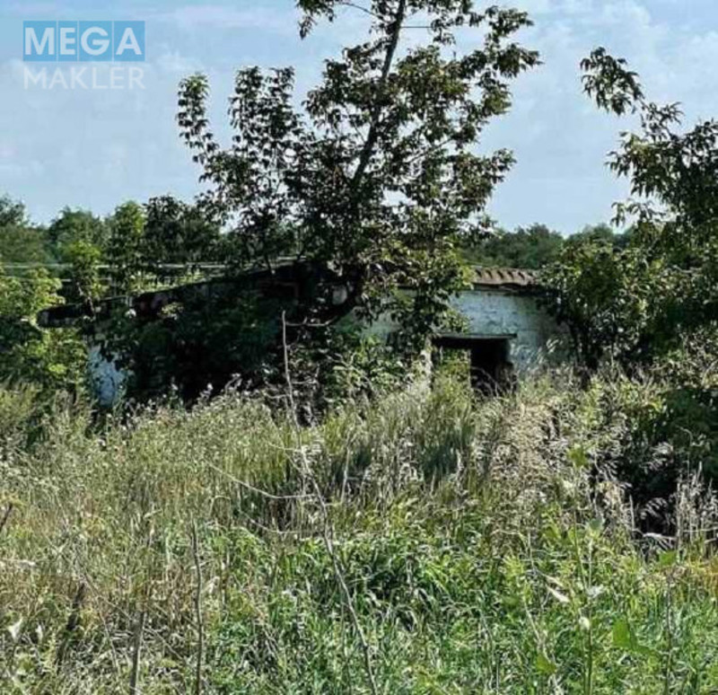 Продаж окремої будівлі/побудови, 5 292,20 кв.м, <a class="location-link" href="/berezovaya-luka/" title="Недвижимость Березова Лука">Березова Лука</a>, Миру, 23Г (изображение 3)