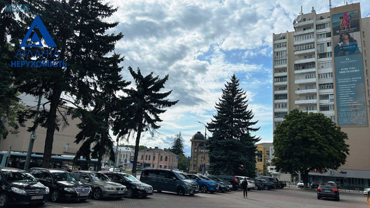 Продаж 2 кімнатної квартири (55/31/8), 8 пов. 16 пов. будинку, <a class="location-link" href="/lutsk/" title="Недвижимость Луцьк">Луцьк</a>, Словацького, 12 (изображение 15)