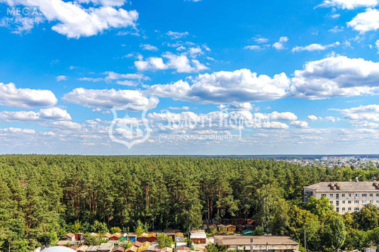 Продаж 1 кімнатної квартири (35,3/14/8), 10 пов. 25 пов. будинку, <a class="location-link" href="/kiev/" title="Недвижимость Київ">Київ</a>, <a class="location-link" href="/kiev/darnickij/" title="Недвижимость Дарницький район">Дарницький р-н</a>, Світла вул., 3д (изображение 16)