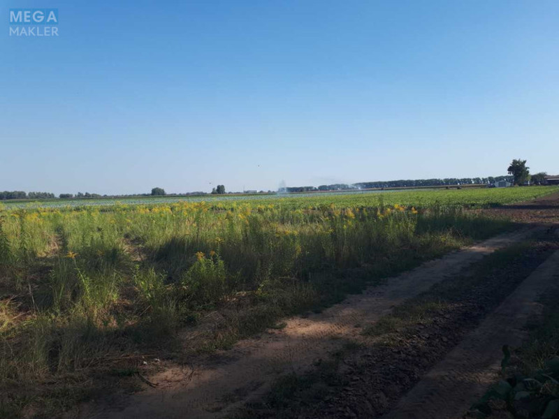 Продажа участка, 377&nbsp;соток, земля сельскохозяйственного назначения, <a class="location-link" href="/senkovka-selo/" title="Недвижимость Сеньківка">Сеньківка</a>, б/н (изображение 3)