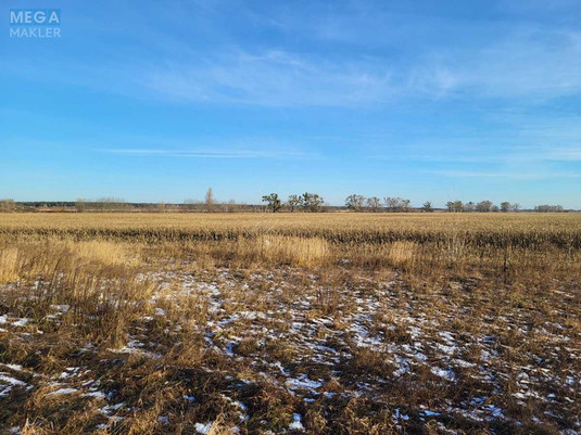 Продажа участка, 381&nbsp;сотка, земля сельскохозяйственного назначения, <a class="location-link" href="/gnedin/" title="Недвижимость Гнідін">Гнідин</a>, б/н (изображение 3)