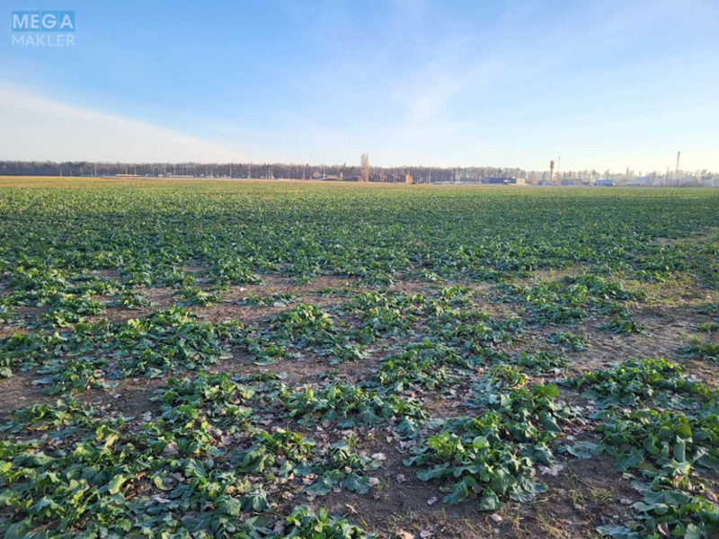 Продажа участка, 560 соток, земля сельскохозяйственного назначения, <a class="location-link" href="/kozhuhovka-selo-kv/" title="Недвижимость Кожухівка">Кожухівка</a>, Незалежності (изображение 2)