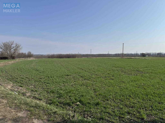 Продажа участка, 60&nbsp;соток, участок под жилую застройку, <a class="location-link" href="/drozdy/" title="Недвижимость Дрозді">Дрозди</a>, Кільцева (изображение 6)