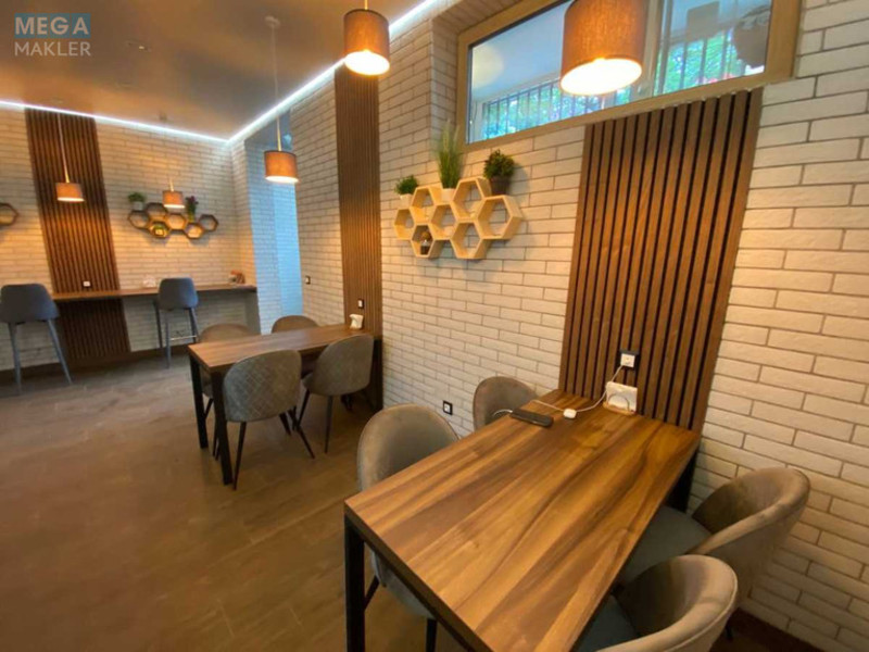 Продаж комерційної нерухомості, 43 кв.м, под магазин, <a class="location-link" href="/kiev/" title="Недвижимость Київ">Київ</a>, <a class="location-link" href="/kiev/goloseevskij/" title="Недвижимость Голосіївський район">Голосіївський р-н</a>, Метрологічна вул., 148В (изображение 4)