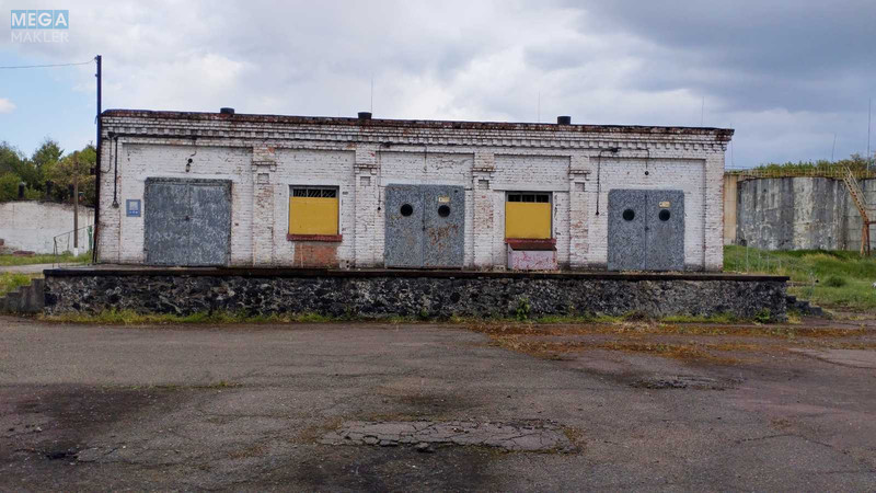 Продаж комплексу будівель та споруд, 41 000 кв.м, под производство, <a class="location-link" href="/dneprodzerzhinsk/" title="Недвижимость Кам'янське">Каменское</a>, Тритузная, 251 (изображение 4)