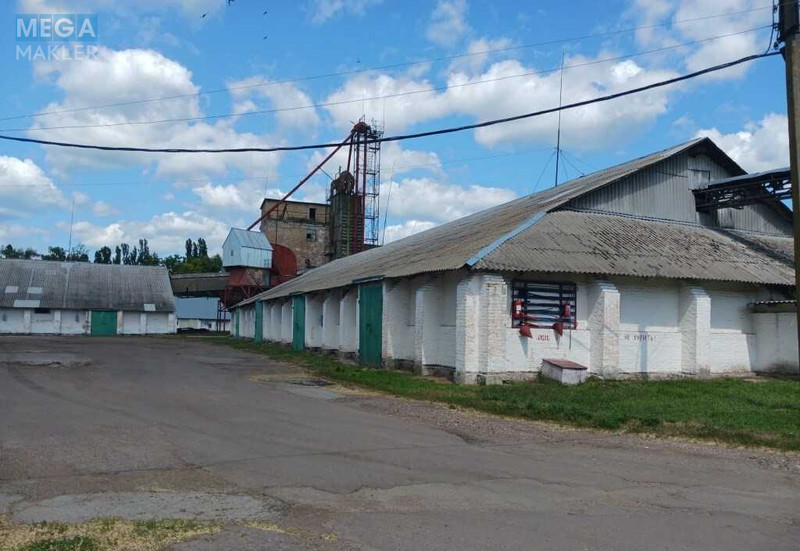 Продаж окремої будівлі/побудови, 19 428,70 кв.м, <a class="location-link" href="/yagotin/" title="Недвижимость Яготин">Яготин</a>, Привокзальна, 21 (изображение 9)