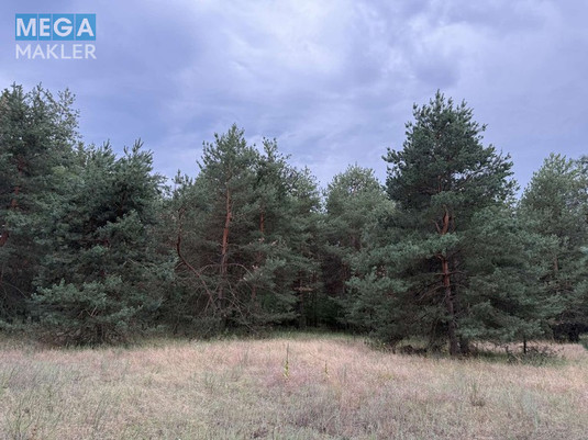 Продажа участка, 2&nbsp;012&nbsp;соток, <a class="location-link" href="/carichanka/" title="Недвижимость Царичанка">Царичанка</a> (изображение 2)