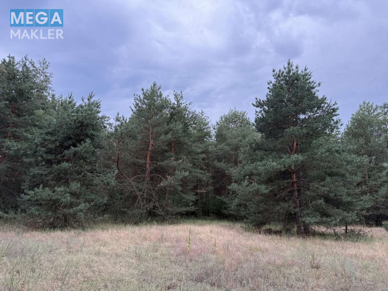 Продажа участка, 2&nbsp;012&nbsp;соток, <a class="location-link" href="/carichanka/" title="Недвижимость Царичанка">Царичанка</a> (изображение 2)