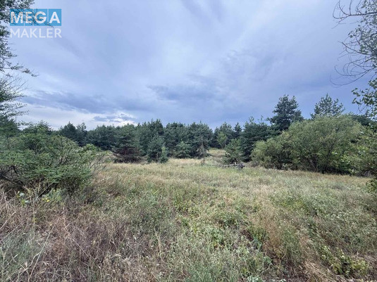 Продажа участка, 2&nbsp;012&nbsp;соток, <a class="location-link" href="/carichanka/" title="Недвижимость Царичанка">Царичанка</a> (изображение 5)