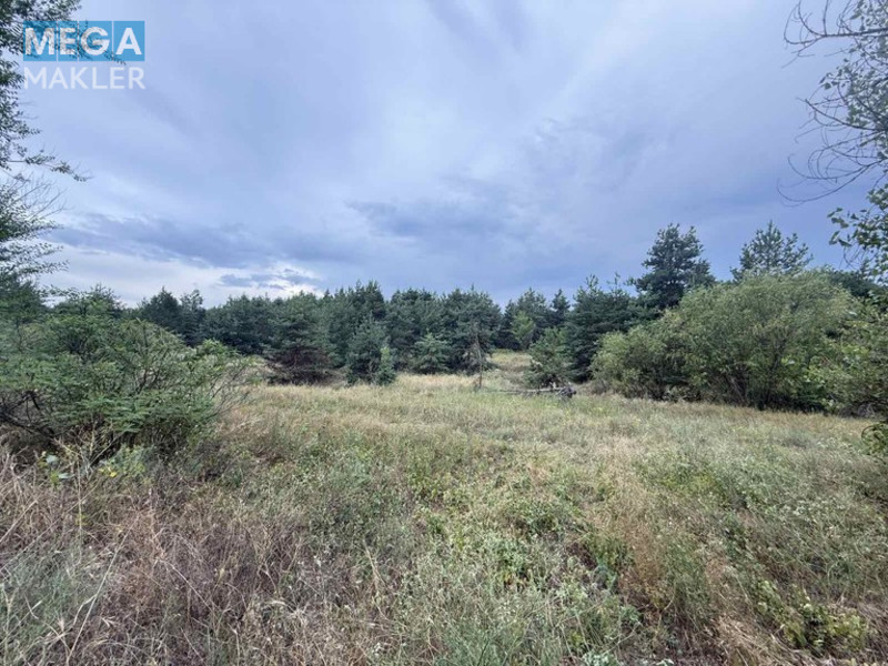 Продажа участка, 2&nbsp;012&nbsp;соток, <a class="location-link" href="/carichanka/" title="Недвижимость Царичанка">Царичанка</a> (изображение 5)