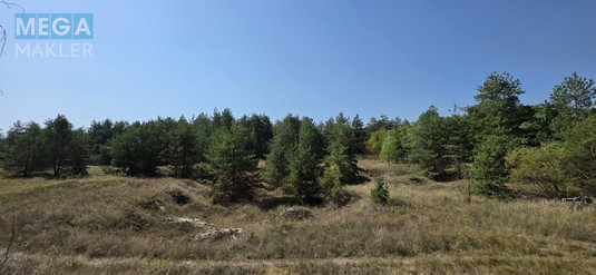 Продажа участка, 2&nbsp;012&nbsp;соток, <a class="location-link" href="/carichanka/" title="Недвижимость Царичанка">Царичанка</a> (изображение 2)