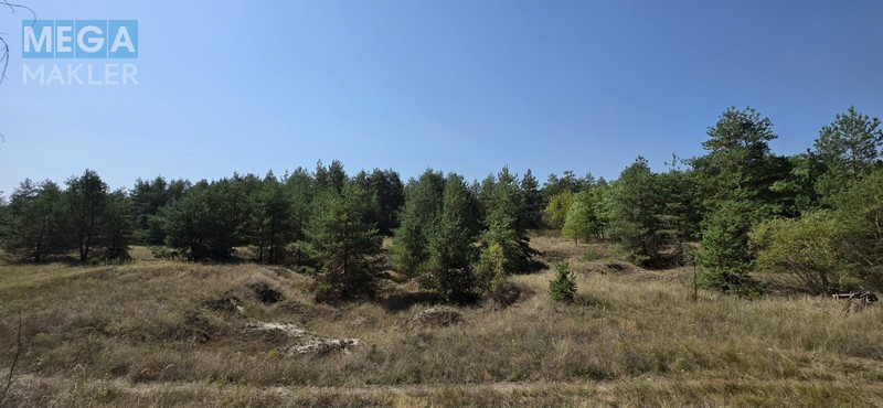 Продажа участка, 2&nbsp;012&nbsp;соток, <a class="location-link" href="/carichanka/" title="Недвижимость Царичанка">Царичанка</a> (изображение 2)