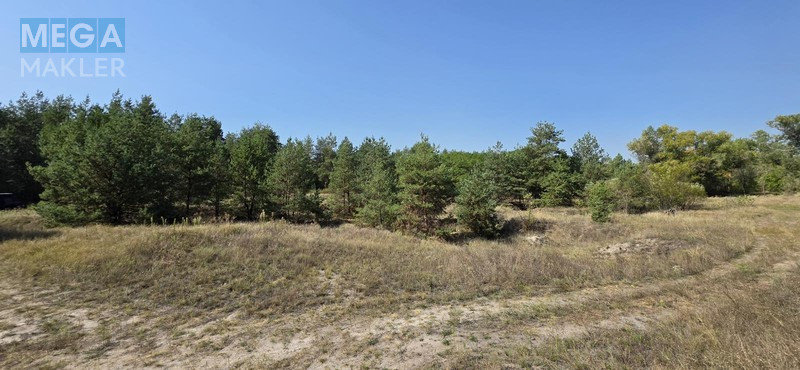 Продажа участка, 2&nbsp;012&nbsp;соток, <a class="location-link" href="/carichanka/" title="Недвижимость Царичанка">Царичанка</a> (изображение 3)