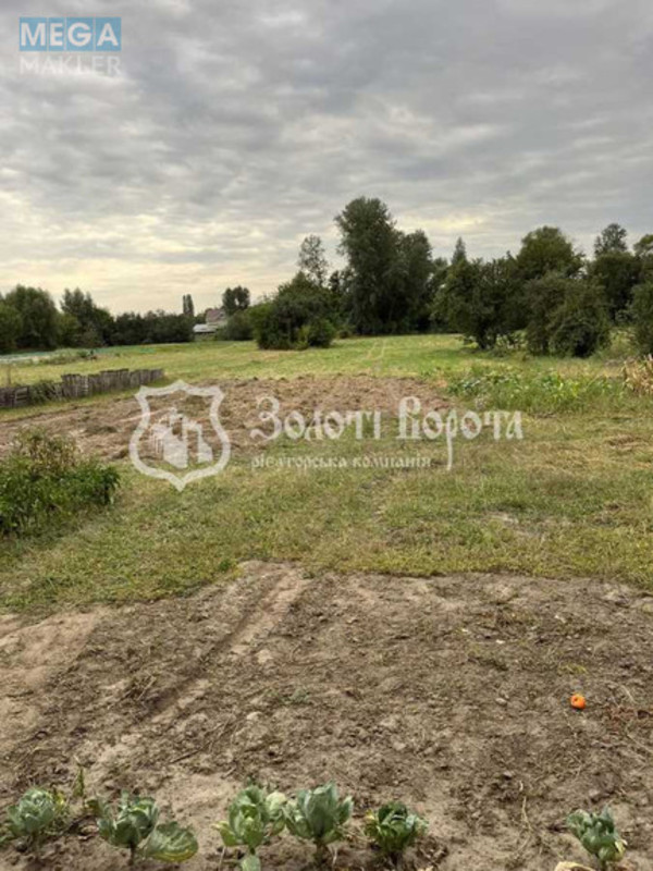 Продаж дома, 1&nbsp; поверх, 71,50&nbsp;кв.м, 3&nbsp;кімнати, ділянка 25&nbsp;соток, <a class="location-link" href="/velikaya-starica/" title="Недвижимость Велика Стариця">Велика Стариця</a>, Стасюка вул., 234 (изображение 2)