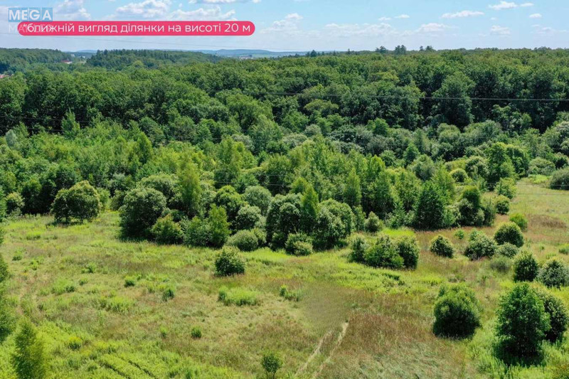 Продажа участка, 16&nbsp;соток, земля сельскохозяйственного назначения, <a class="location-link" href="/paseki-zubrickie/" title="Недвижимость Пасіки-Зубрицькі">Пасіки-Зубрицькі</a>, кільцева (изображение 5)