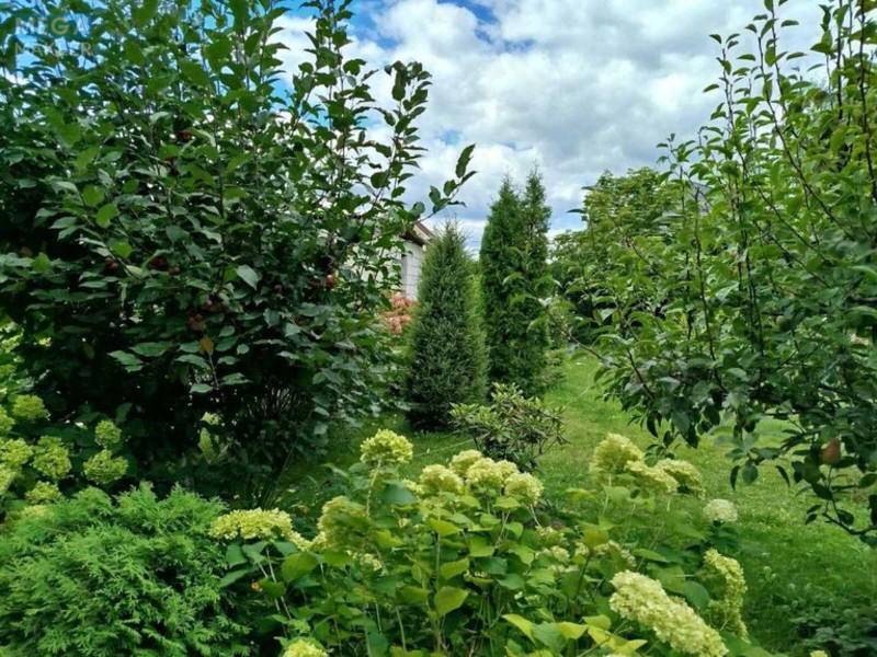 Продаж дома, 2 поверху, 278 кв.м, 5 кімнат, ділянка 16 соток, <a class="location-link" href="/marhalovka/" title="Недвижимость Мархалівка">Мархалівка</a>, Лесі Українки, 56 (изображение 20)