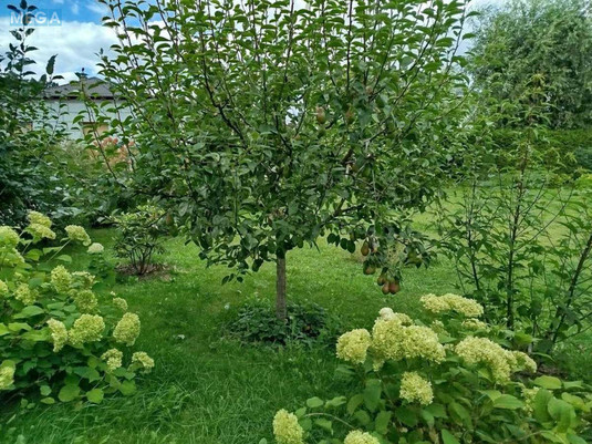 Продаж дома, 2&nbsp;поверху, 278&nbsp;кв.м, 5&nbsp;кімнат, ділянка 16&nbsp;соток, <a class="location-link" href="/marhalovka/" title="Недвижимость Мархалівка">Мархалівка</a>, Лесі Українки, 56 (изображение 21)