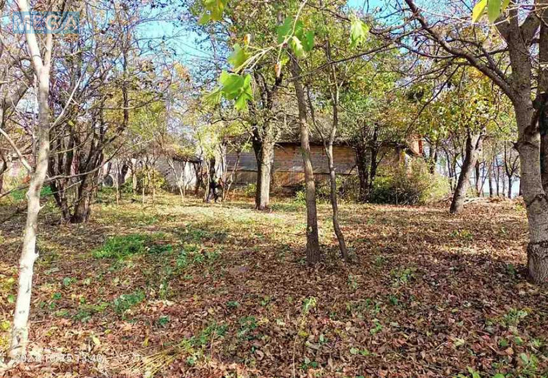 Продаж дома, 1&nbsp; поверх, 60&nbsp;кв.м, 2&nbsp;кімнати, ділянка 35&nbsp;соток, <a class="location-link" href="/gorodishe-selo-rv-rovenskij-rajon/" title="Недвижимость Городище">Городище</a>, Спокійна (изображение 4)