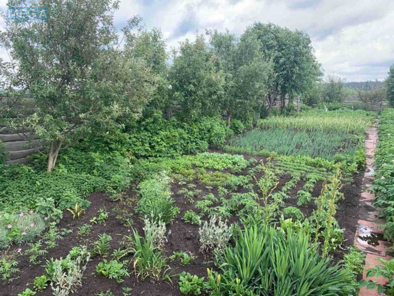 Продажа участка, 6 соток, земля сельскохозяйственного назначения, <a class="location-link" href="/irpen/" title="Недвижимость Ірпінь">Ірпінь</a>, 6-та Лінія (изображение 8)