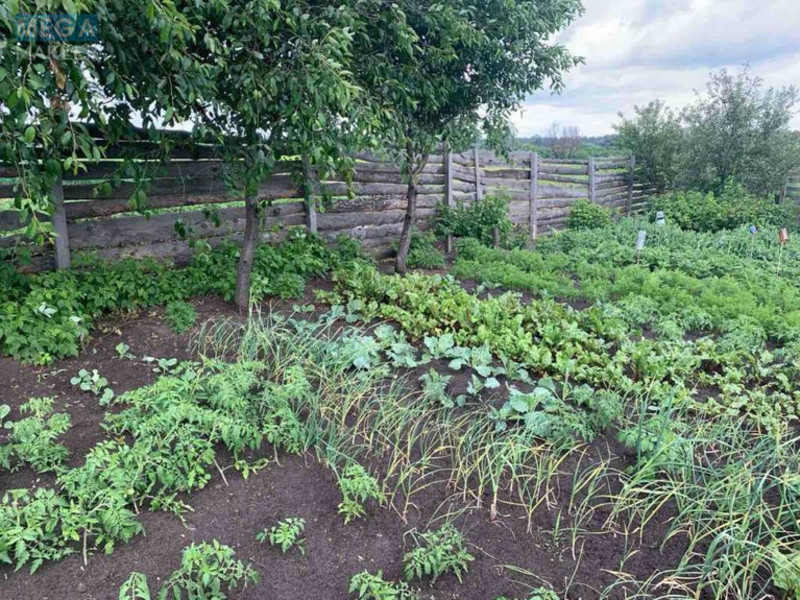 Продажа участка, 6 соток, земля сельскохозяйственного назначения, <a class="location-link" href="/irpen/" title="Недвижимость Ірпінь">Ірпінь</a>, 6-та Лінія (изображение 10)