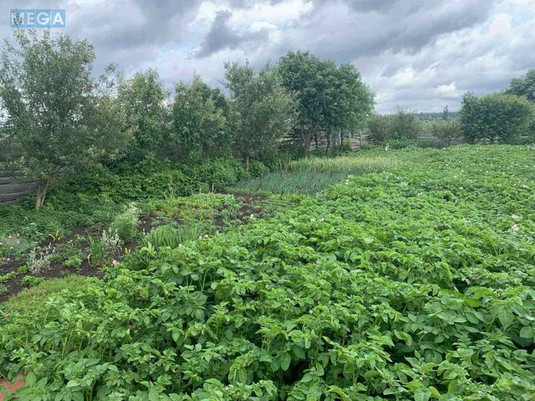 Продажа участка, 6&nbsp;соток, земля сельскохозяйственного назначения, <a class="location-link" href="/irpen/" title="Недвижимость Ірпінь">Ірпінь</a>, 6-та Лінія (изображение 15)