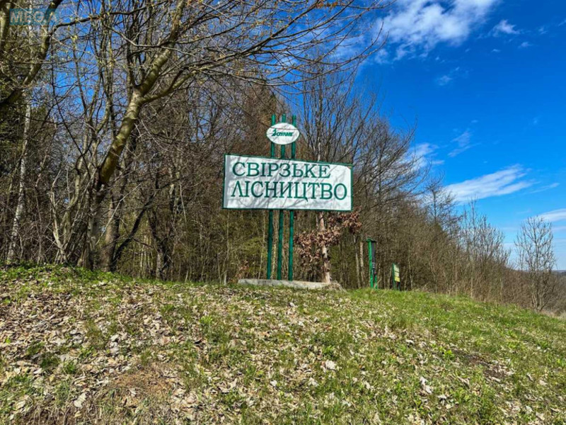Продажа участка, 201,53&nbsp;сотка, земля сельскохозяйственного назначения, <a class="location-link" href="/stoki/" title="Недвижимость Стоки">Стоки</a>, Бучаче (изображение 3)
