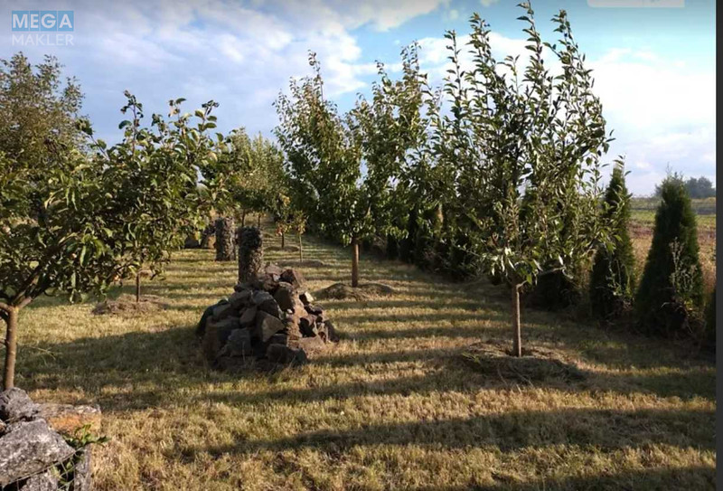 Продаж дома, 2 поверху, 189 кв.м, 5 кімнат, ділянка 34 сотки, <a class="location-link" href="/zdovbica/" title="Недвижимость Здовбиця">Здовбиця</a>, Шосова (изображение 9)