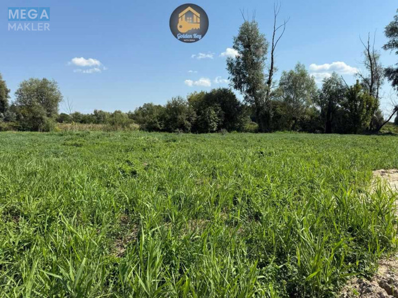 Продажа участка, 15&nbsp;соток, участок под жилую застройку, <a class="location-link" href="/hodosovka/" title="Недвижимость Ходосівка">Ходосівка</a>, Журавлина (изображение 4)