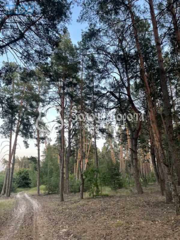 Продажа участка, 12&nbsp;соток, участок под жилую застройку, <a class="location-link" href="/pogreby-selo-kv-brovarskij-rajon/" title="Недвижимость Погреби">Погреби</a>, Шевченка вул. (изображение 6)