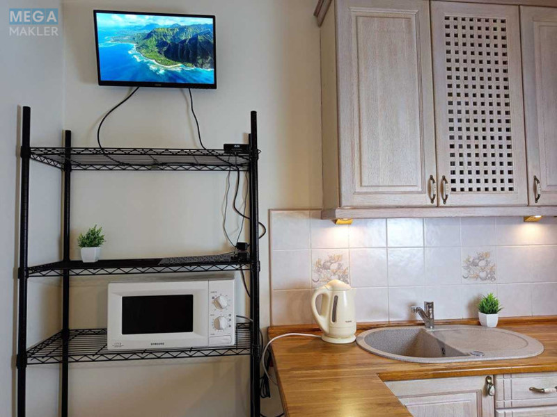 Оренда 2 кімнатної квартири, <a class="location-link" href="/kiev/" title="Недвижимость Київ">Київ</a>, <a class="location-link" href="/kiev/goloseevskij/" title="Недвижимость Голосіївський район">Голосіївський р-н</a>, Голосіївська вул., 13Б (изображение 8)