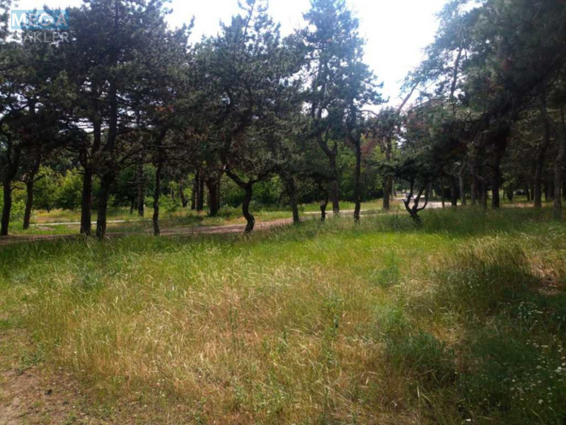 Продажа участка, 20 соток, участок под жилую застройку, <a class="location-link" href="/dnepropetrovsk/" title="Недвижимость Дніпра">Дніпро</a>, Омеляновича-Павленко (изображение 5)