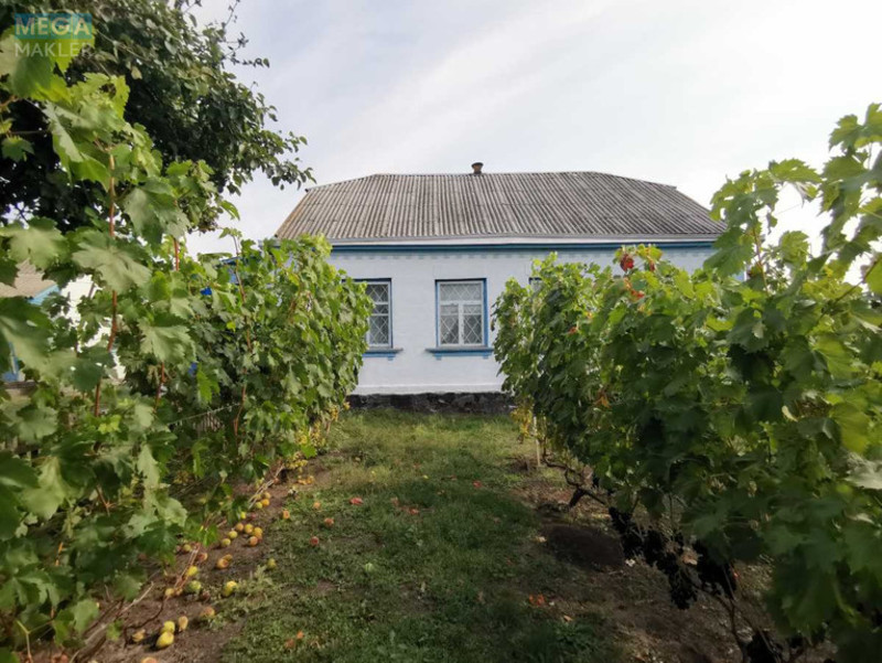 Продаж дома, 1 поверх, 78 кв.м, 3 кімнати, ділянка 25 соток, <a class="location-link" href="/grebenki/" title="Недвижимость Гребінки">Гребінки</a>, Дачна, 3 (изображение 8)